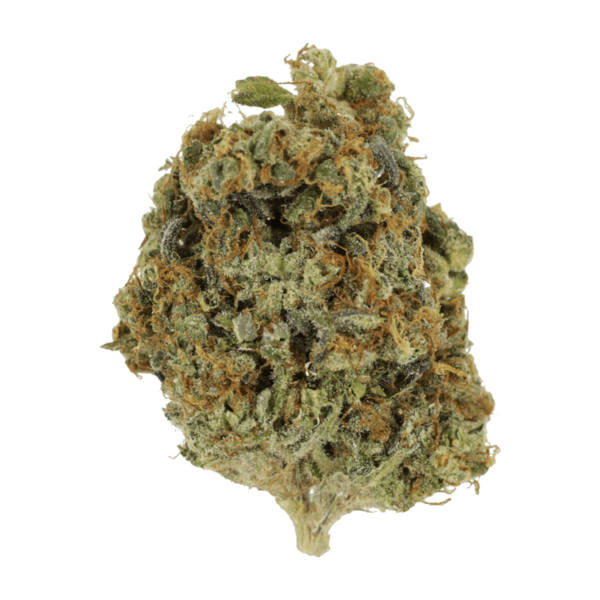 Grass - Sunset - Sherbert