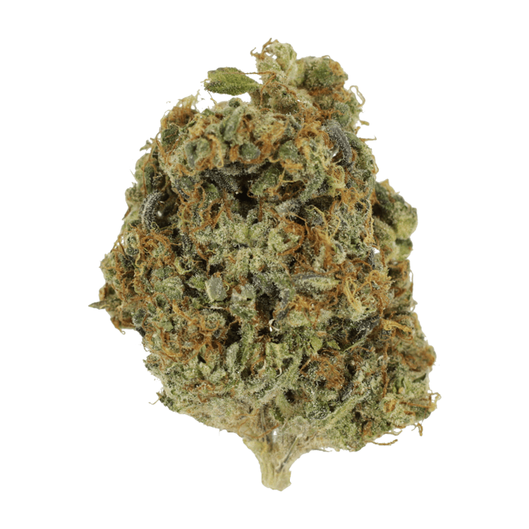 Grass - Sunset - Sherbert