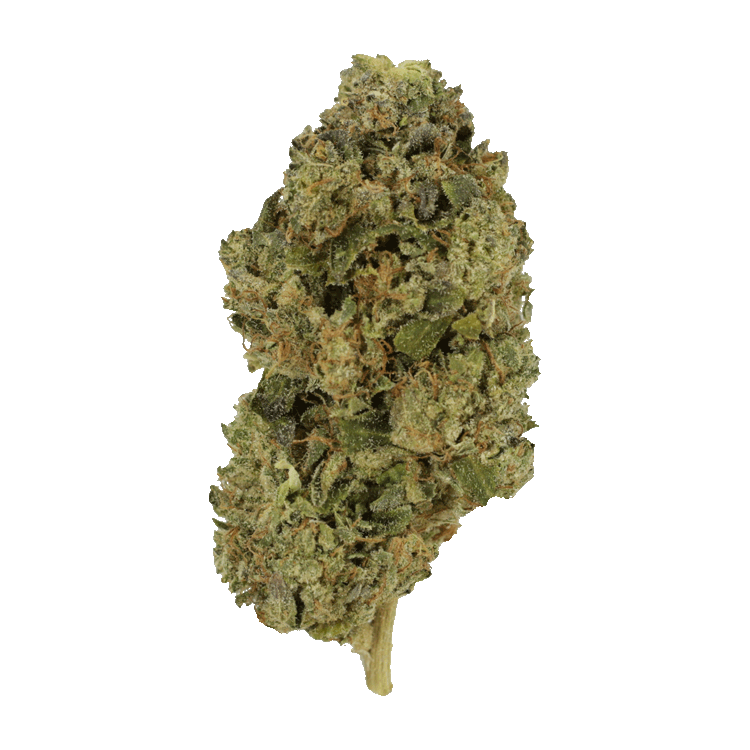 GrassLife - Tom Ford