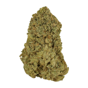 GrassLife - Copper Chemp