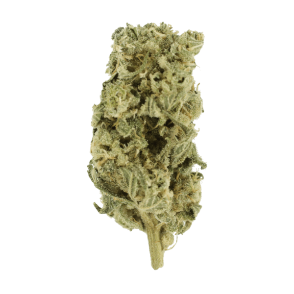 Grass Hashplant