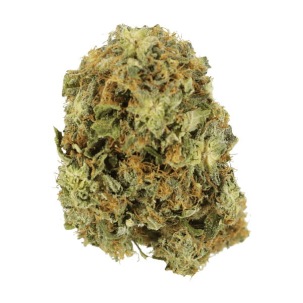 GrassLife Pink Bubba