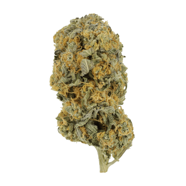 GrassLife - Sour Prince