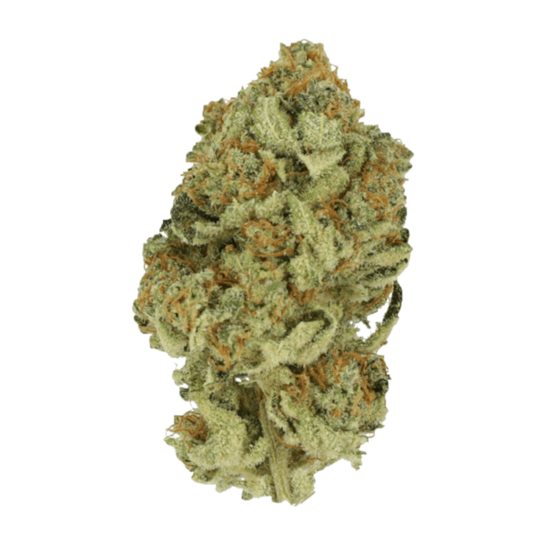Grass---Dutch-Treat..30-06-20 GrassLife - Dutch Treat