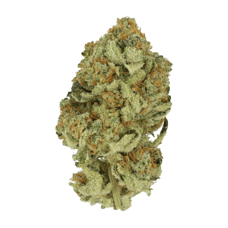 Grass---Dutch-Treat..30-06-20 GrassLife - Dutch Treat