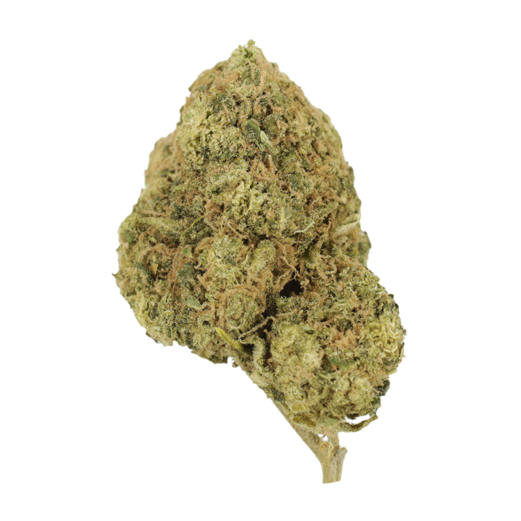 Grass---Mr-Clean..21-10-21 Grass - Mr. Clean