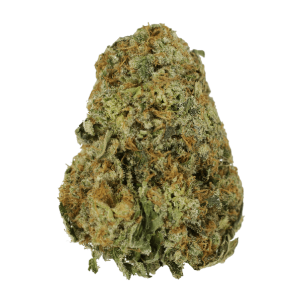 Grass---x..26-11-20 GrassLife - High School Sweetheart