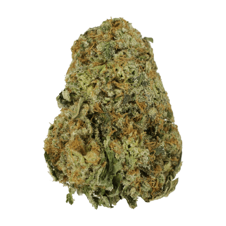 Grass---x..26-11-20 GrassLife - High School Sweetheart
