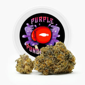 Westcoast Cali Tins – Purple Punchsicle