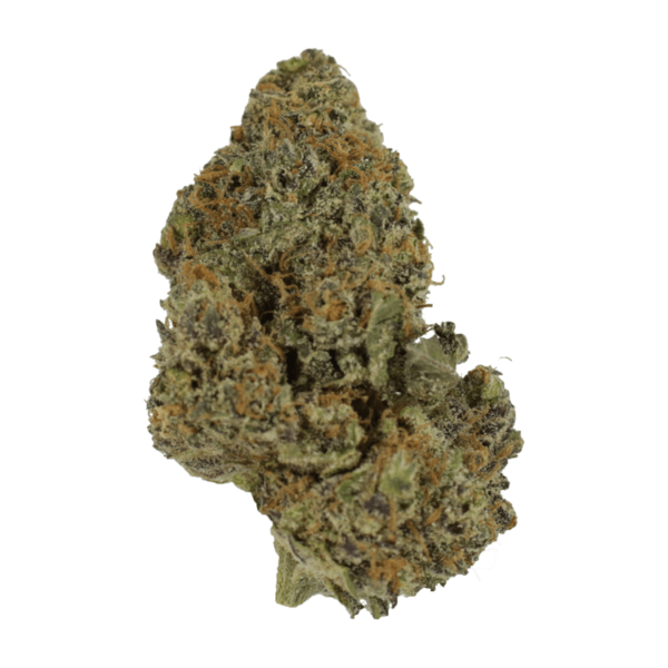 flower-lambs-breath-10-01-21