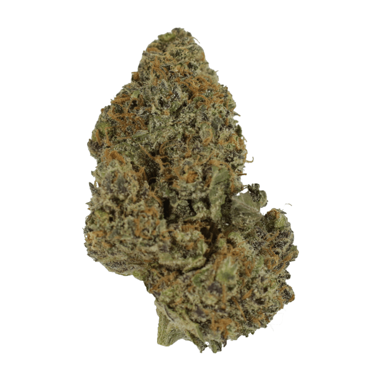 flower-lambs-breath-10-01-21