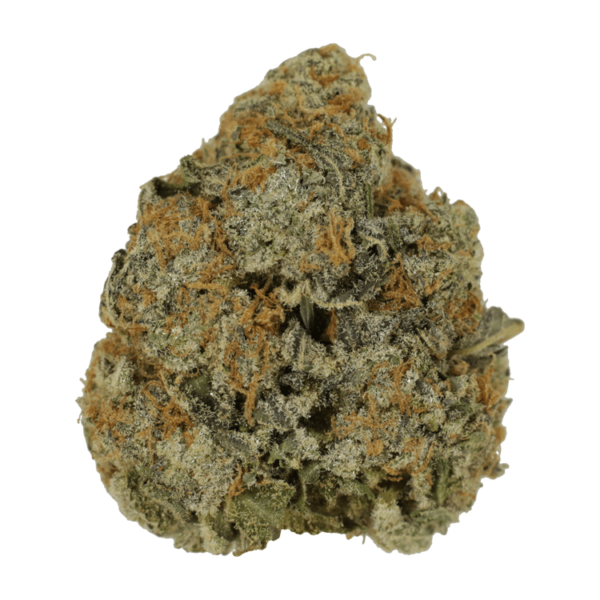 Grass - Purple Punchicle