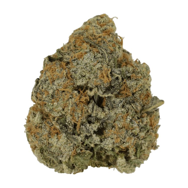 Grass - Purple Punchicle