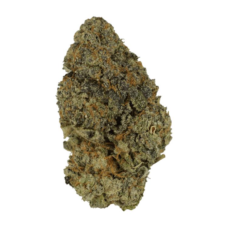 GrassLife - Space Monkey