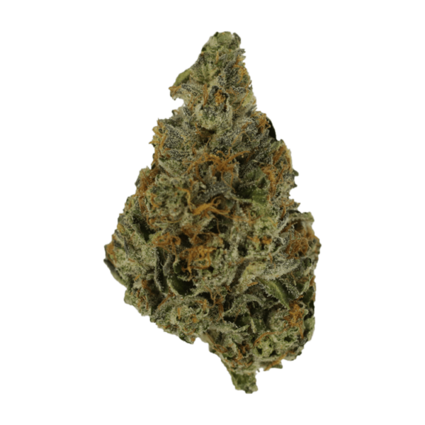 Grass - Watermelon