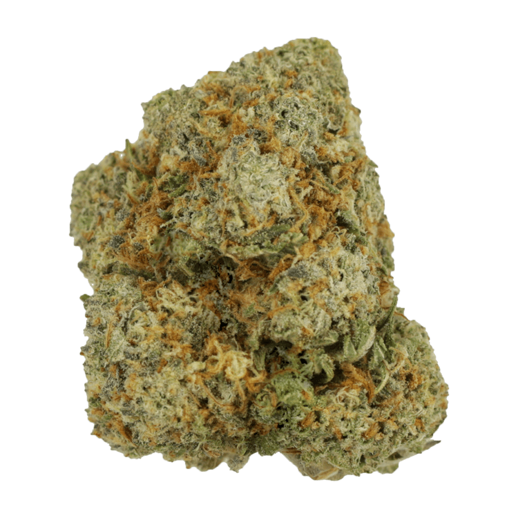 GrassLife - Blue Coma