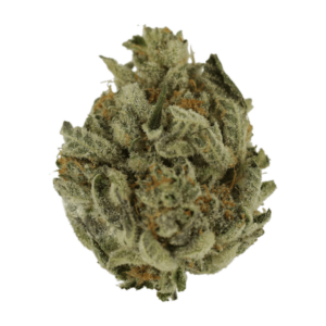 GrassLife - Biscotti Sundae