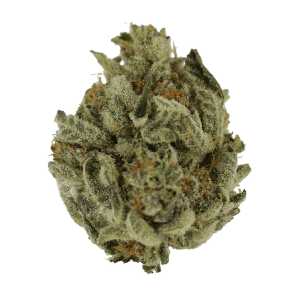 Grass---Mend..12-03-21 GrassLife - Biscotti Sundae