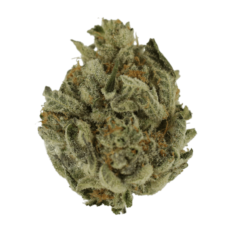 Grass---Mend..12-03-21 GrassLife - Biscotti Sundae