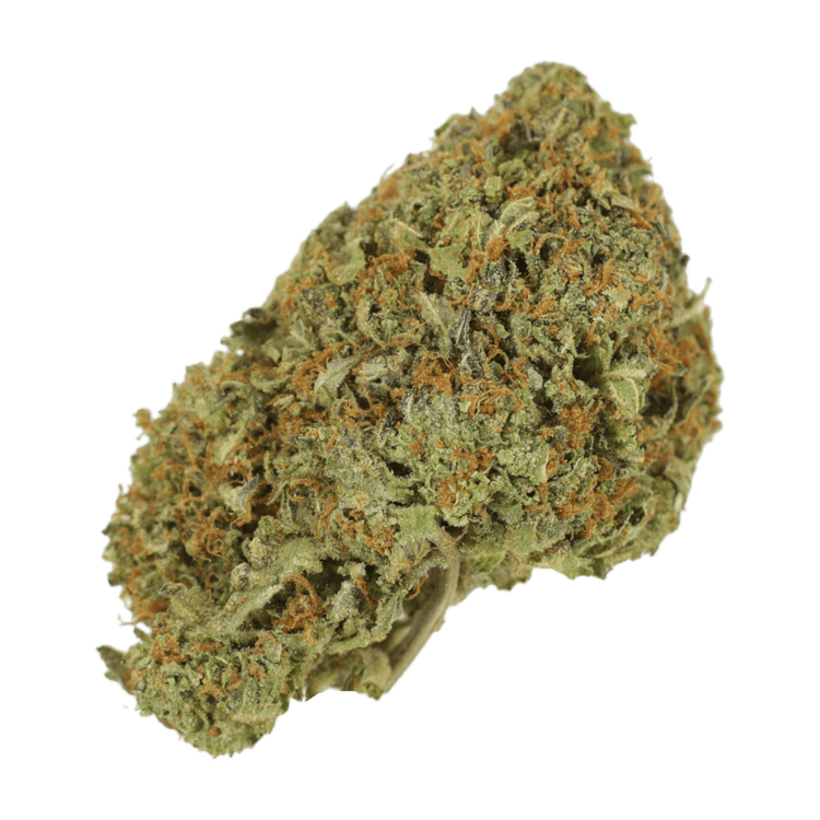 GrassLife - Garlic Breath