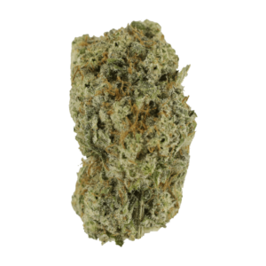 GrassLife Eleven Roses