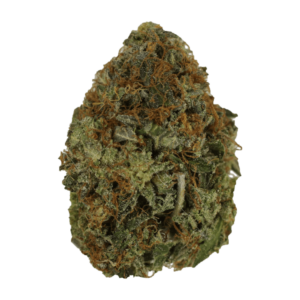 Grass - Orange Romulan