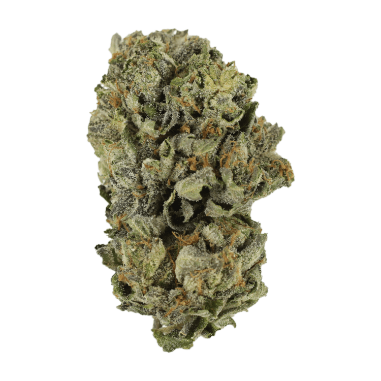 Grass---Cerebro-Haze..04-07-21 Grass - Cerebro Haze