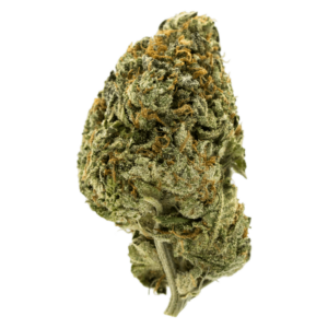 GrassLife - Apple Fritter