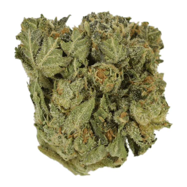 Grass---Black-Kush..17-11-21 GrassLife - Black Kush