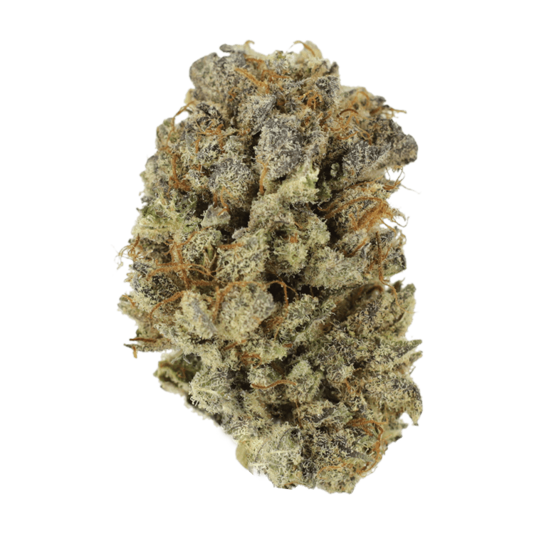 Grass---Medonna-Kush..01-08-21 Grass - Medonna Kush