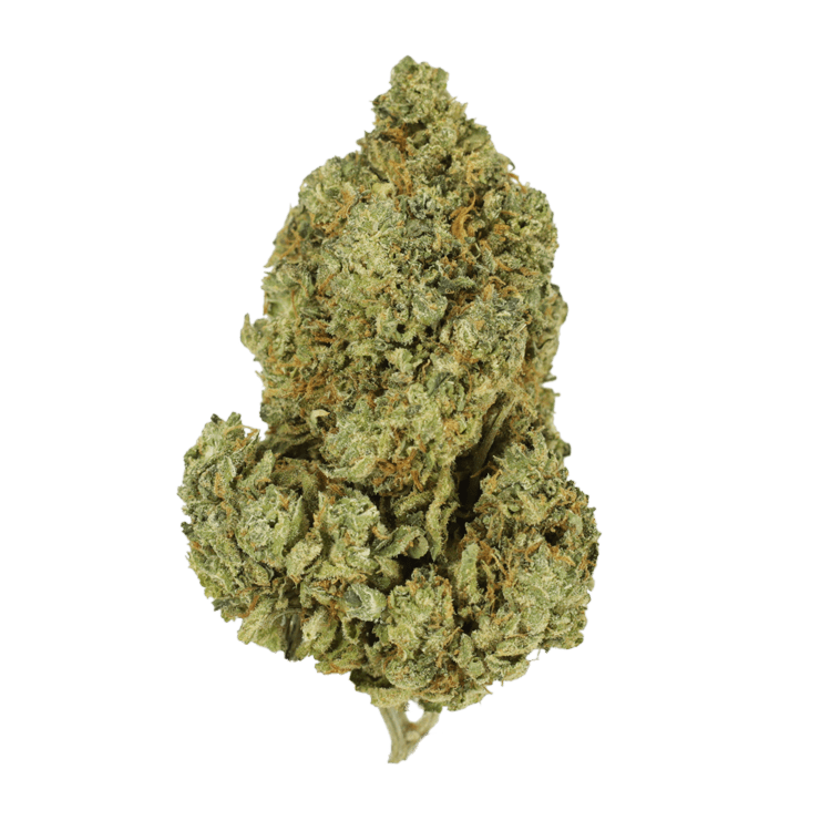 GrassLife Scooby Snacks