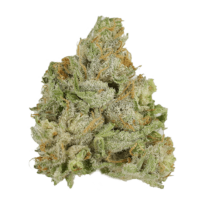 GrassLife - CNC