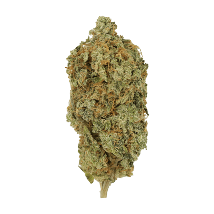 GrassLife Gas Face