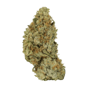 GrassLife Pink Berry