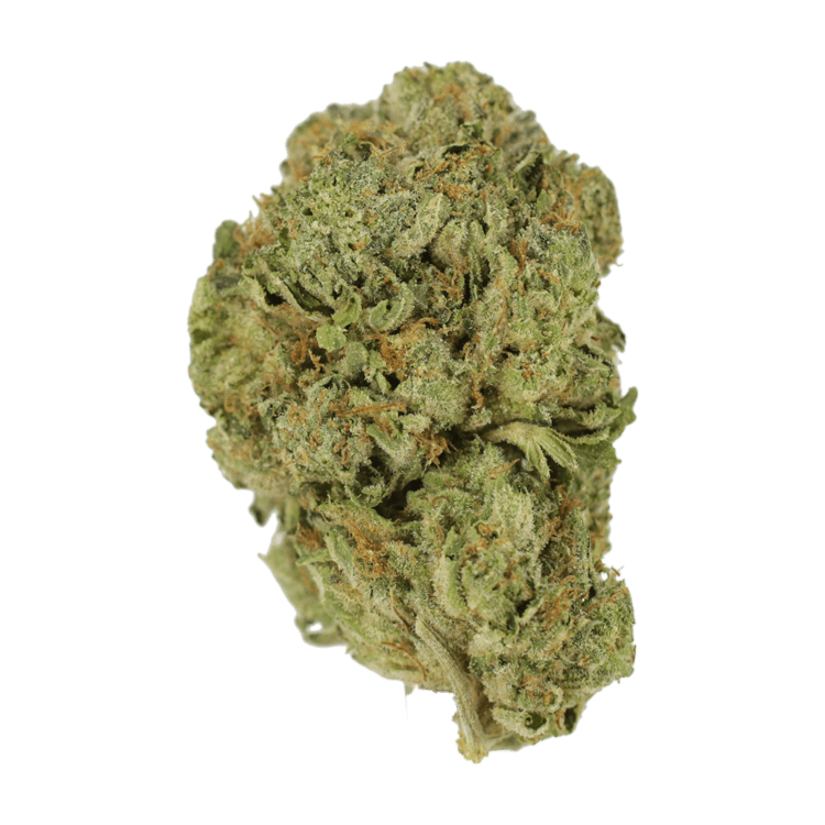 GrassLife Super Skunk