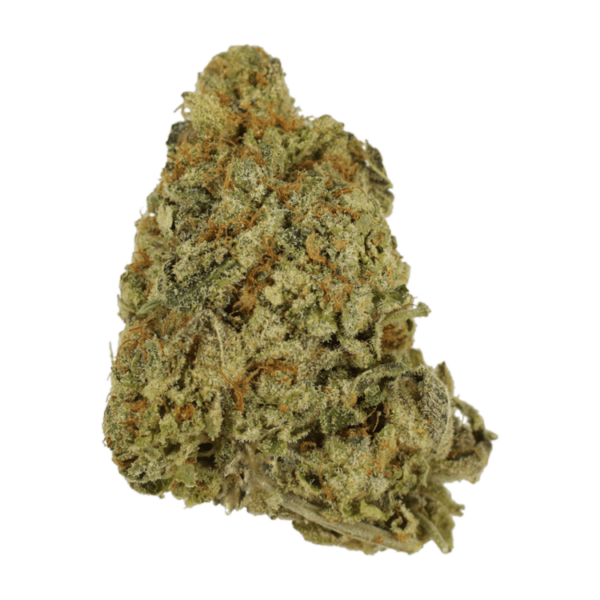 Grass---G-Wiz..21-01-22 GrassLife - G Wiz