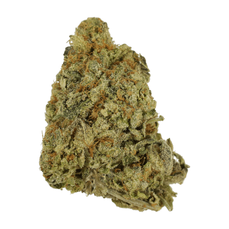 Grass---G-Wiz..21-01-22 GrassLife - G Wiz