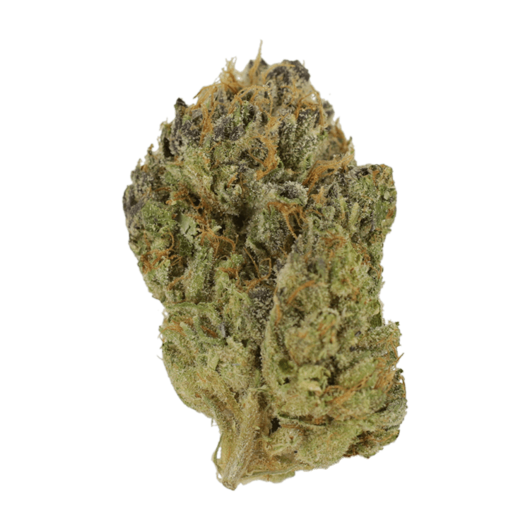 GrassLife - Blueberry Muffin