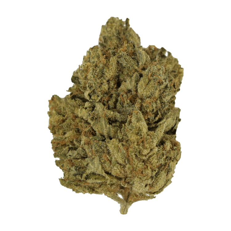 GrassLife - Blackwater