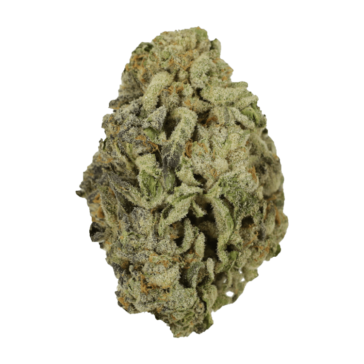 grass-macflurry-16-12-22