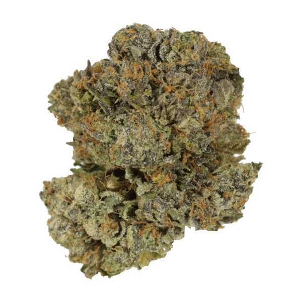 Grass - Chocolate Mintz