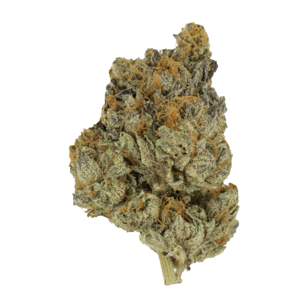 GrassLife - Wedding Cake