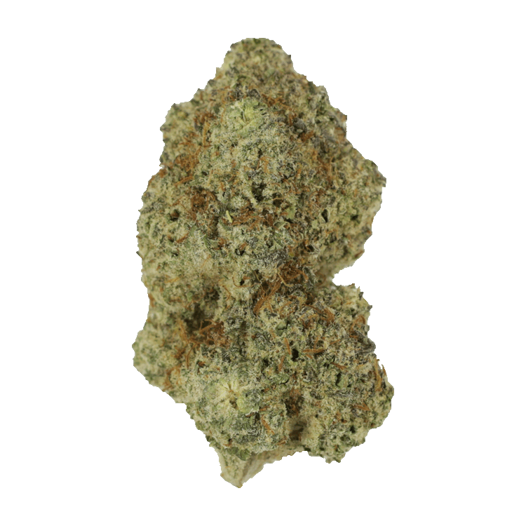 Grease Monkey