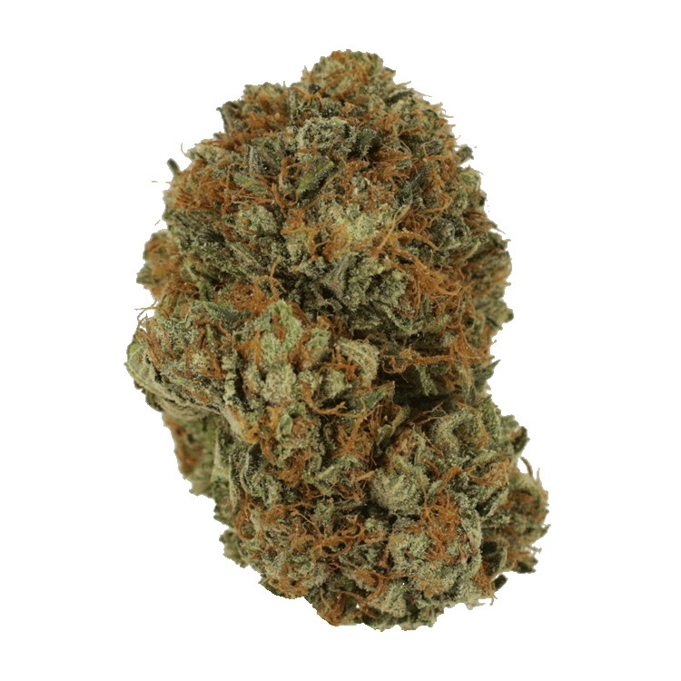 SHERBERT Sherbert - Hybrid - Indica Dominant