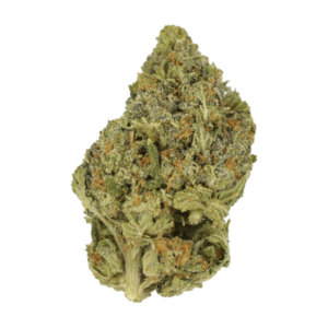 GrassLife - Sapphire Scout