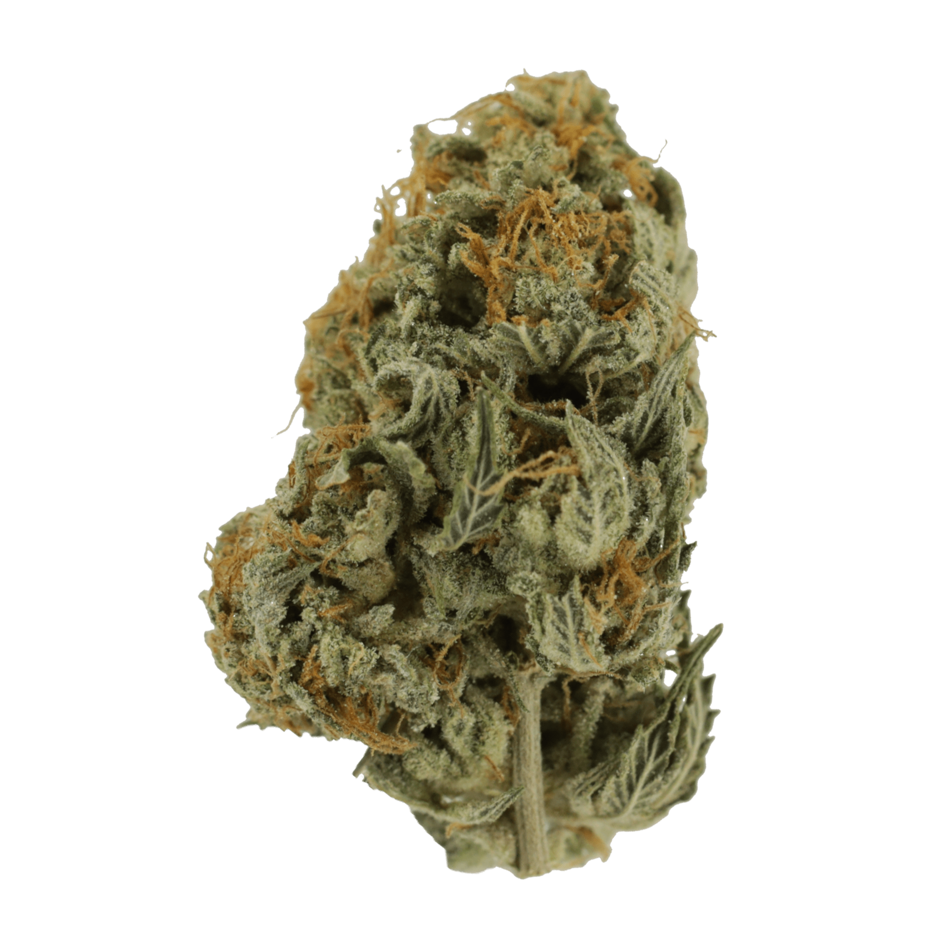MOONROCK GrassLife Moonrock