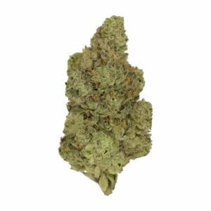 GrassLife - Astroboy