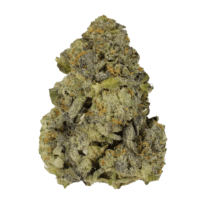 GrassLife - Purple Widow
