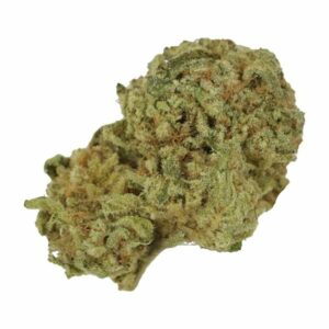 GrassLife - Biscotti