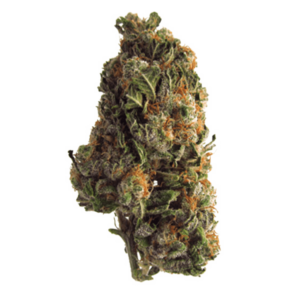 GrassLife - Farm Fuel